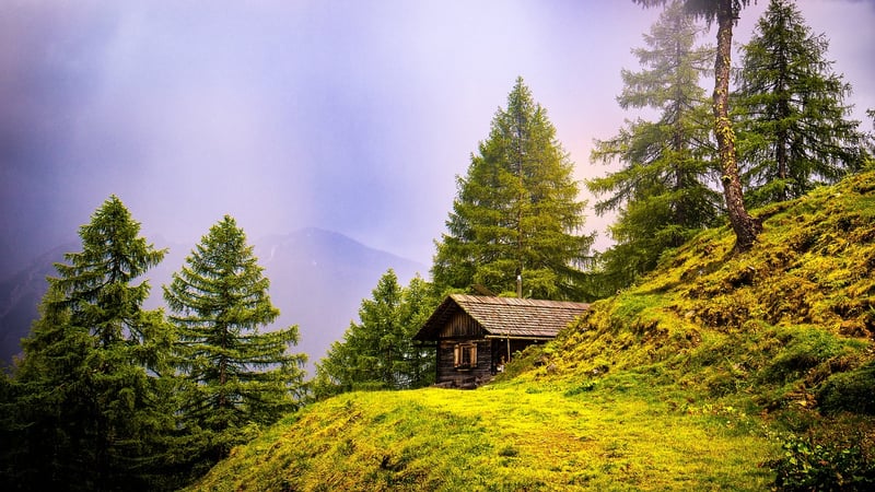 Cozy Cabins