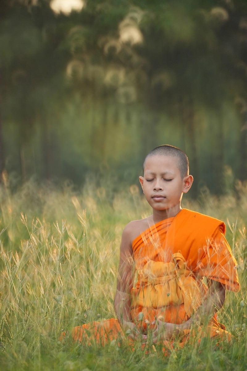 Mindfulness Retreat